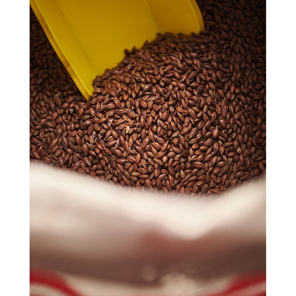 Carafa Special II