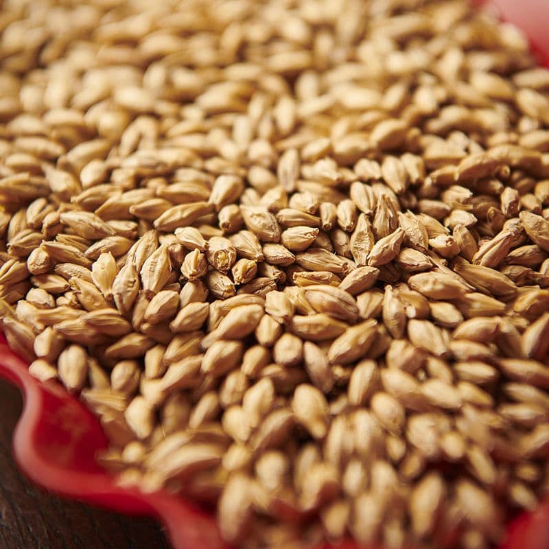 Munich Malt Type 1(12-18 EBC) - Weyermann