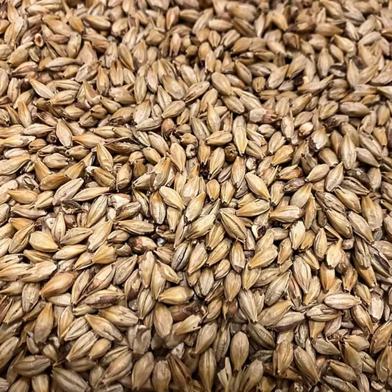 Caramalt (40-55 EBC) - Malteriet