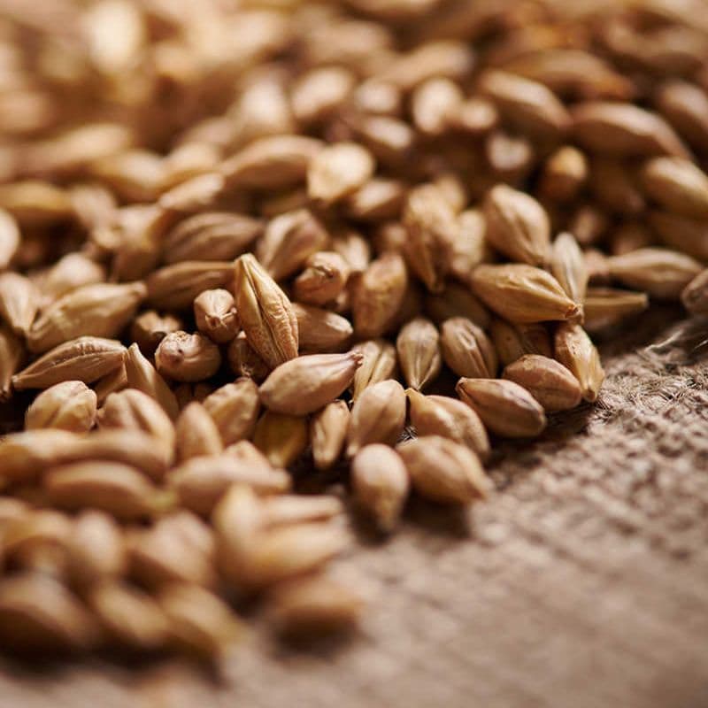 Acidulated malt(2-5 EBC) - Weyermann