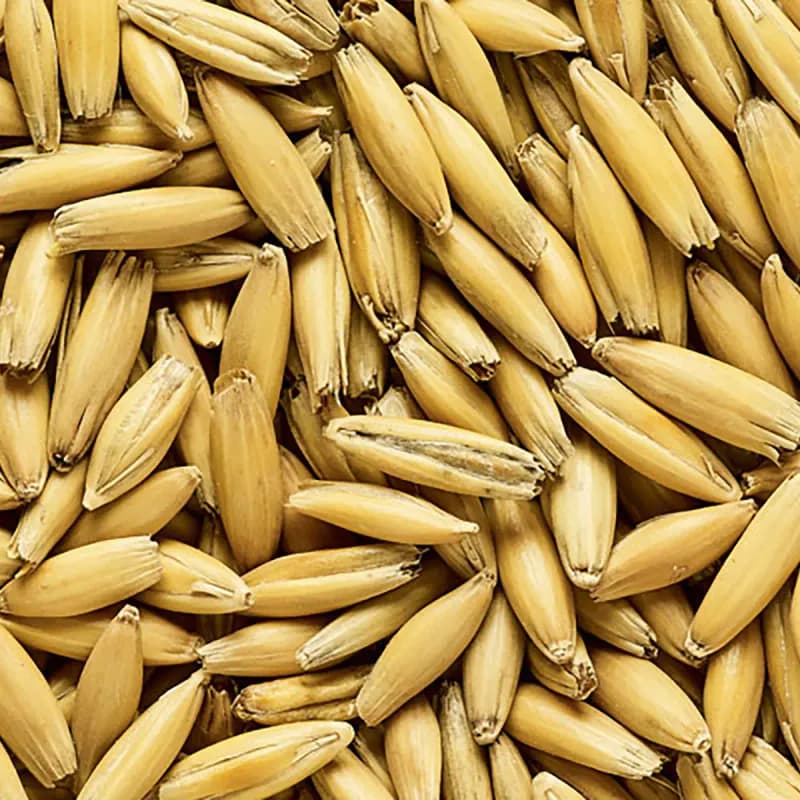 Malted Oats - Simpsons 25kg