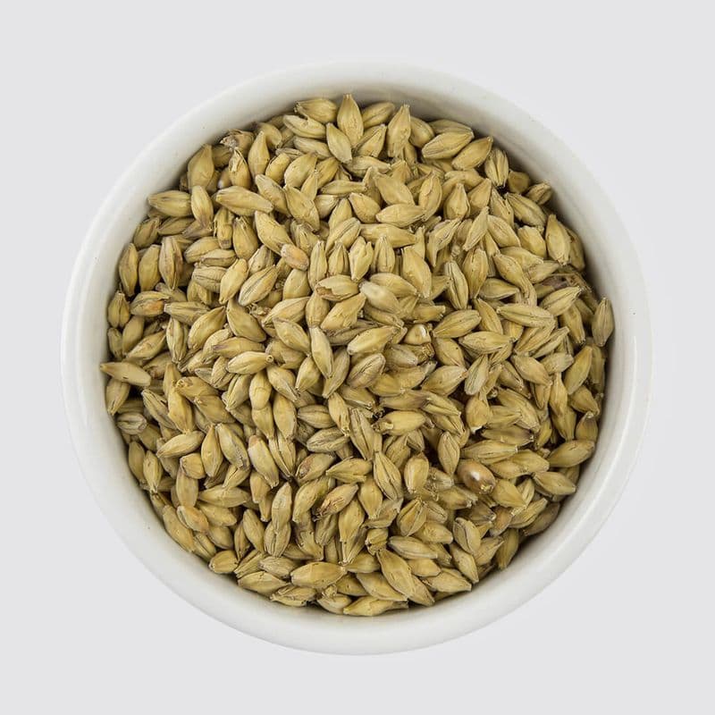 Munich Malt (12-18EBC) - Muntons