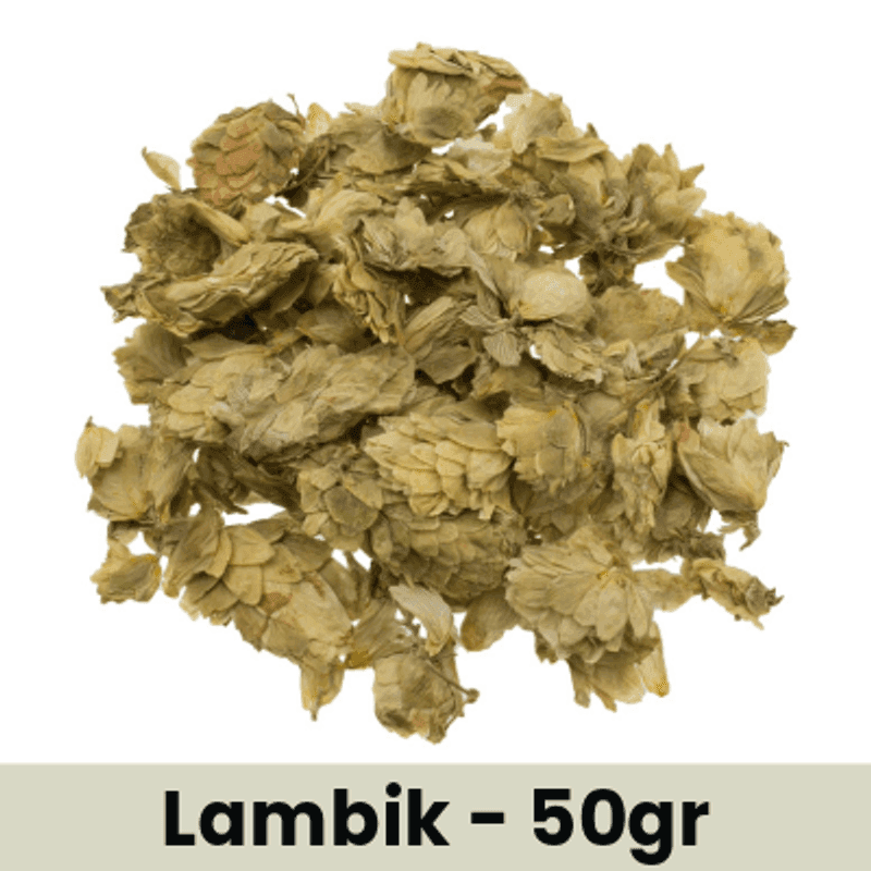 Lambikhumle blomst, 50gr