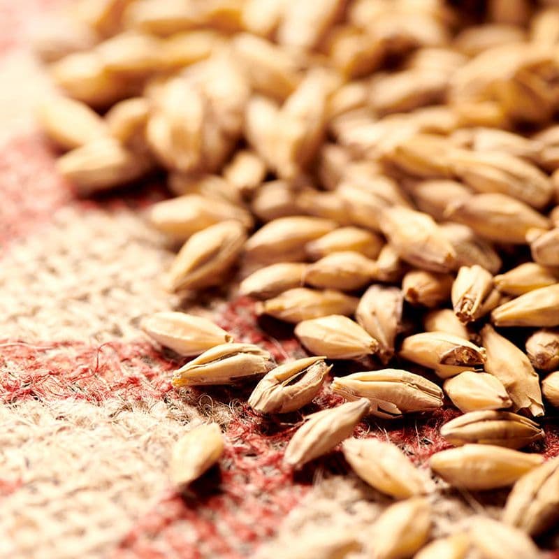 Pilsnermalt(2,5-4,5 EBC) - Weyermann