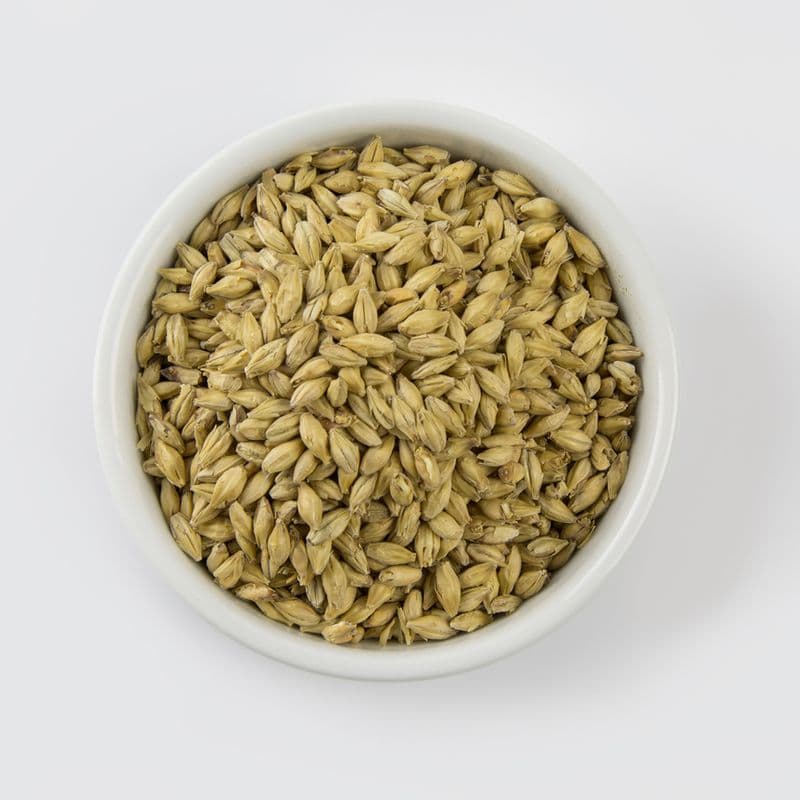Pilsner malt(EBC 3-5) - Muntons