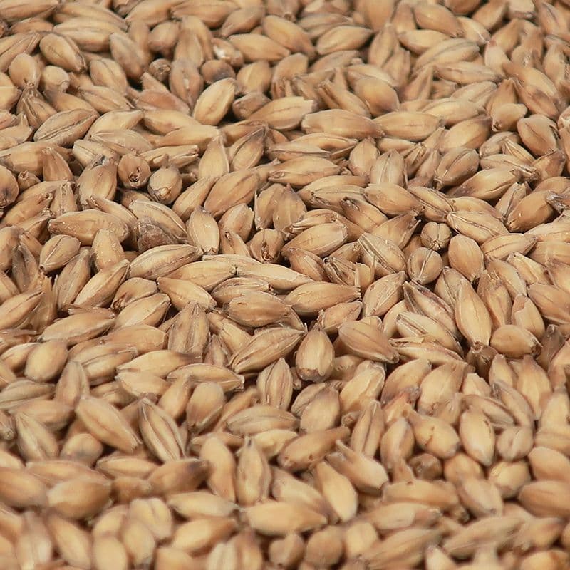 Pilsner malt (2,5-3.5 EBC) - Castle malting
