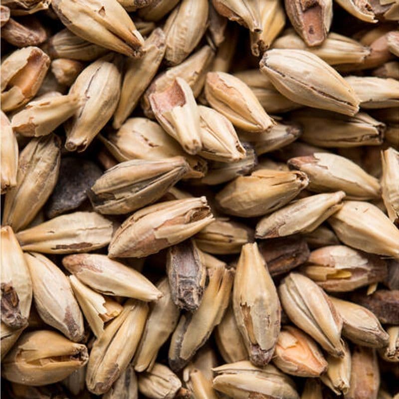 Briess Honey Malt