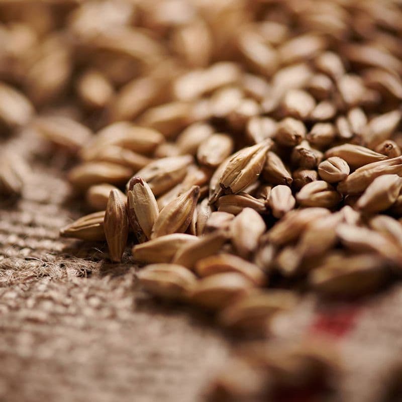 Melanoidin malt (60-80 EBC) - Weyermann