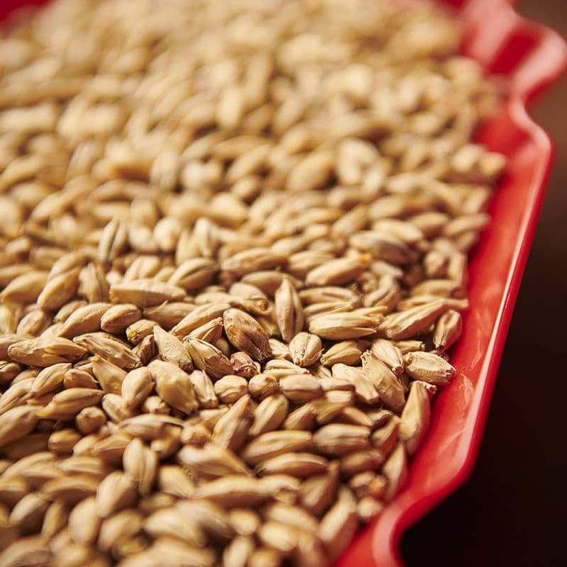 Vienna malt (6-9 EBC) - Weyermann