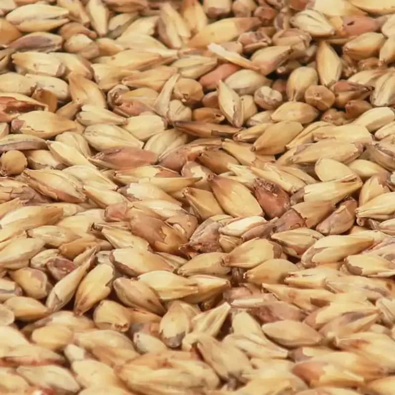 Cara Clair (3-7EBC) - Castle Malting