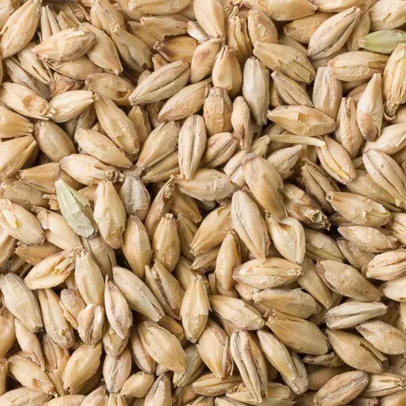 Pale malt - Fuglsang 25Kg