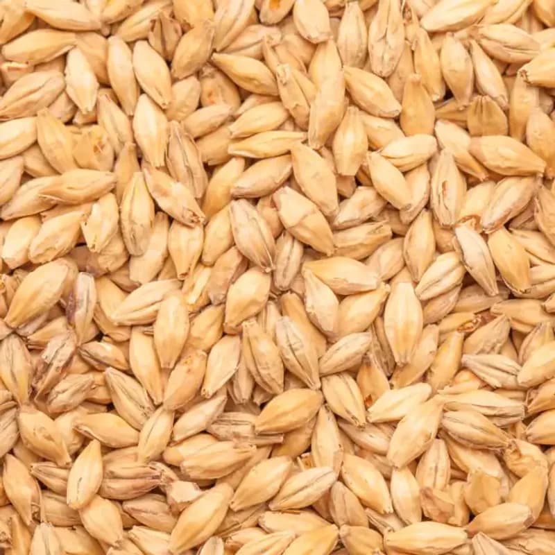 Vienna malt (EBC 8- 10) - Bestmalz