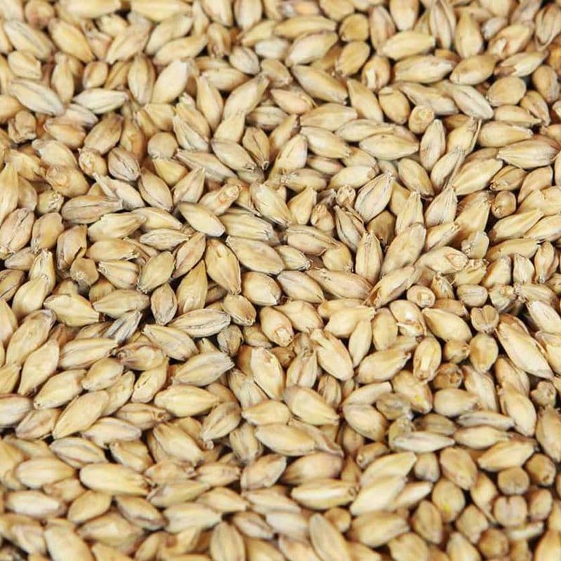 Pilsner malt(EBC 2,5-4,5) 25KG - Wyermann