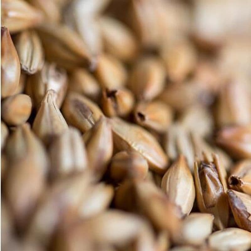 Cara malt - Crisp Malting