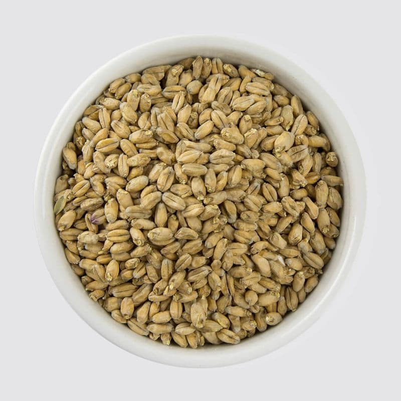 Wheat malt (5 EBC) - Muntons
