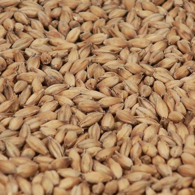 Vienna malt - Castle Malting(EBC: 5-7)