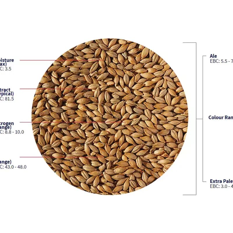 Maris Otter Ale Malt (5,5 - 8 EBC) - Crisp Malting