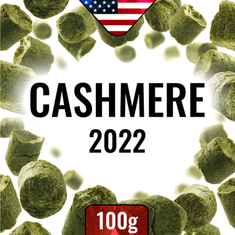 Cashmere 2022 100g