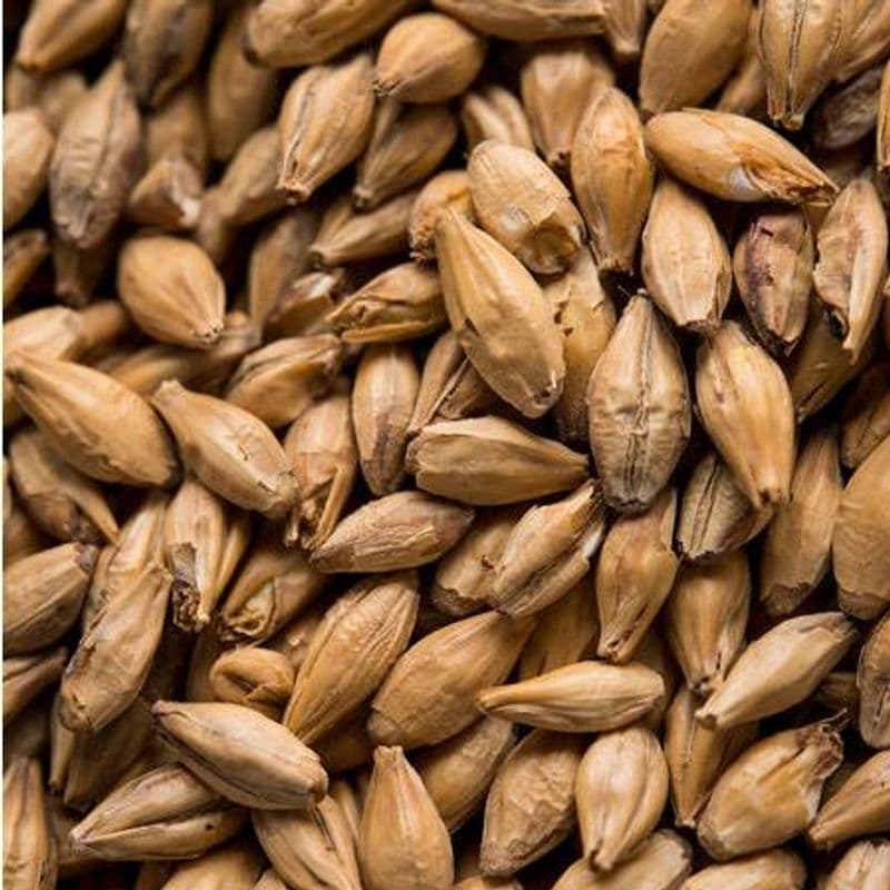 Melanoidin Malt - Bestmalz