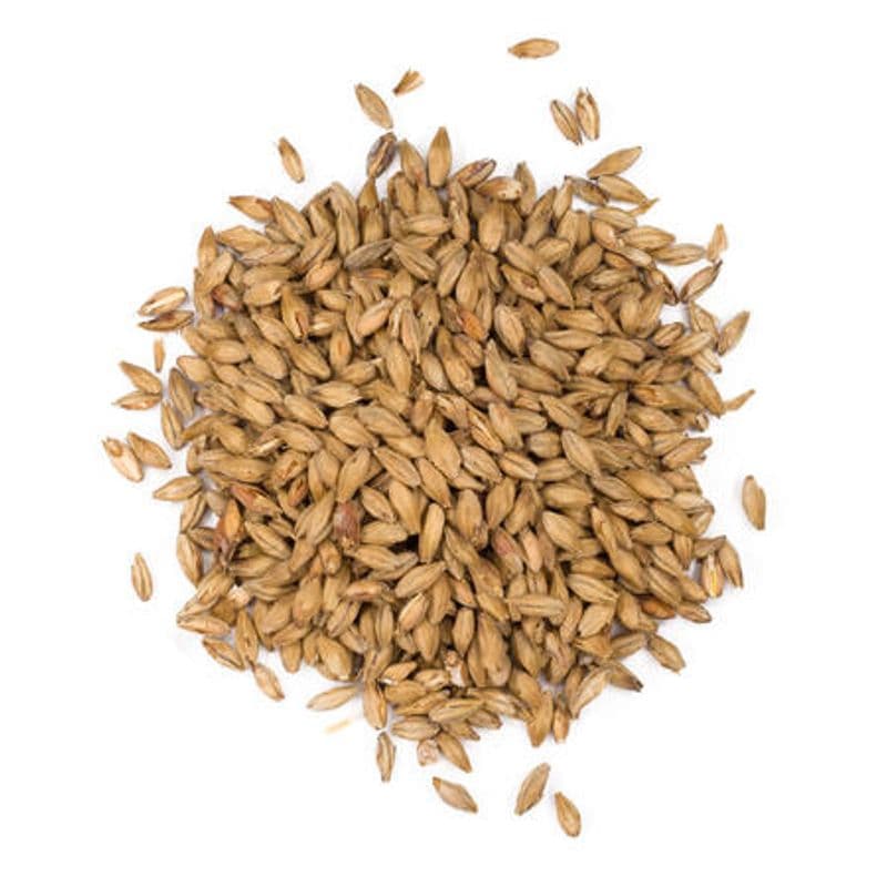 Golden Ale (9-14 EBC) - Viking malt