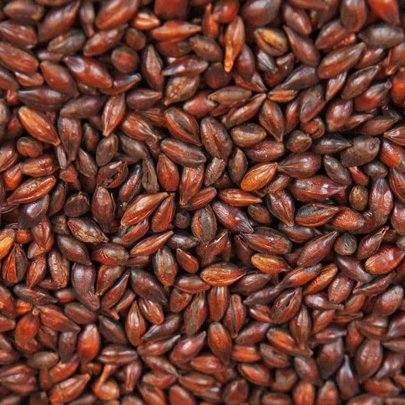 Roasted Barley(1000-1300EBC) 25Kg - Weyermann