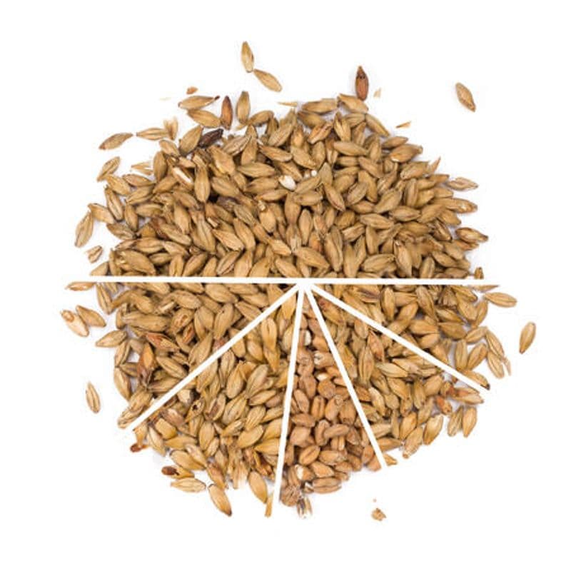 APA/IPA - Allgrain