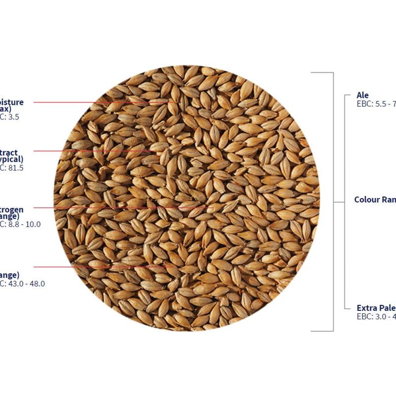 Maris Otter Ale Malt (5,4-7,5 EBC) 25Kg - Crisp